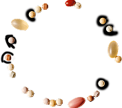 algocare Nutrition